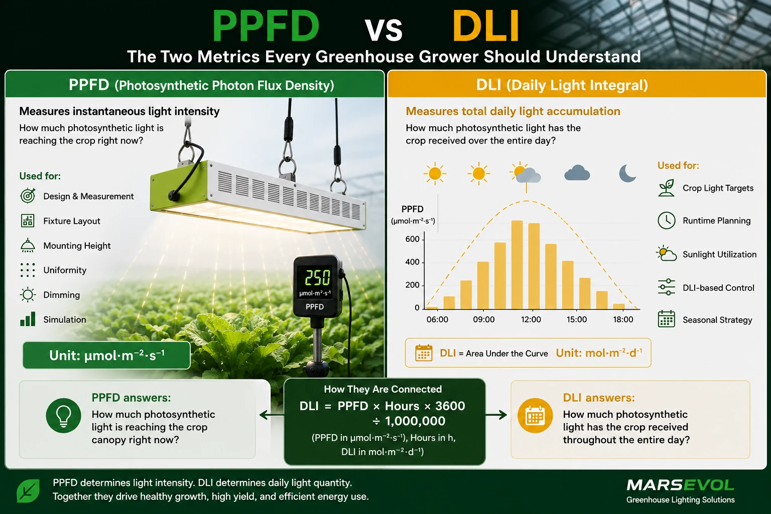 PPFD vs DLI in greenhouse supplemental lighting showing instant light intensity and daily accumulated light