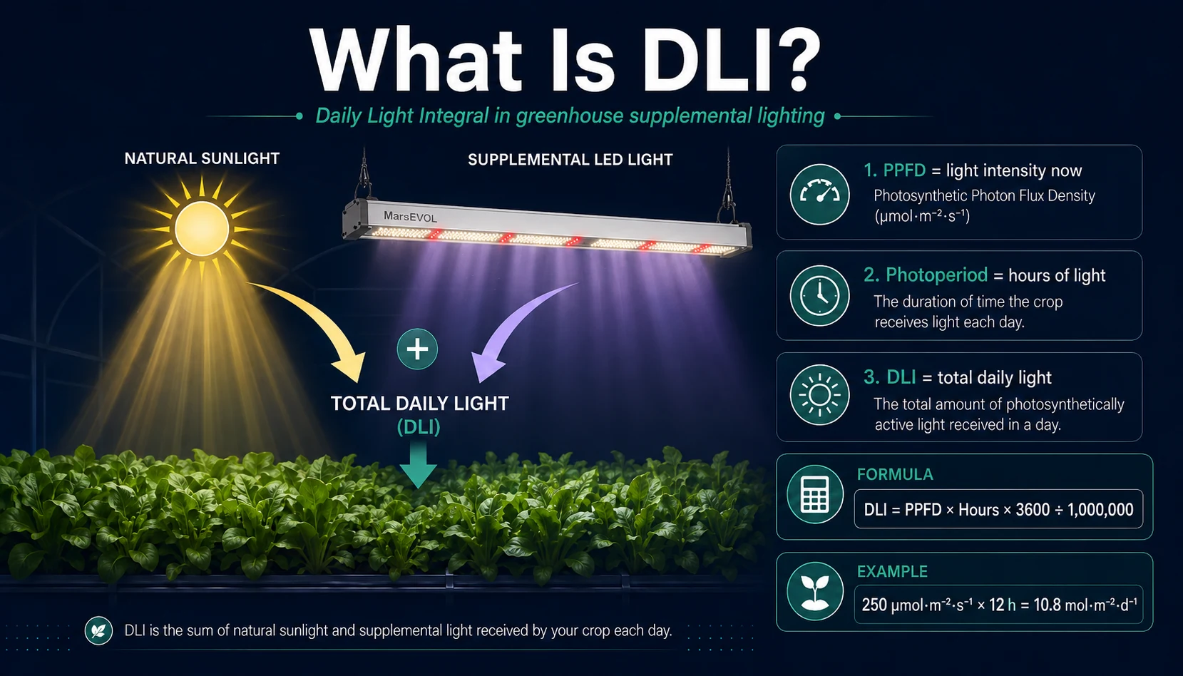 Diagram explaining daily light integral DLI in greenhouse supplemental lighting with sunlight and LED light contribution