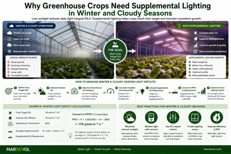Greenhouse supplemental lighting in winter and cloudy seasons showing low sunlight low DLI and LED lighting for crop growth