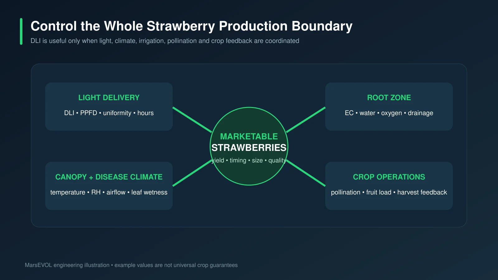 Strawberry production control framework linking light, climate, root zone, pollination and crop feedback
