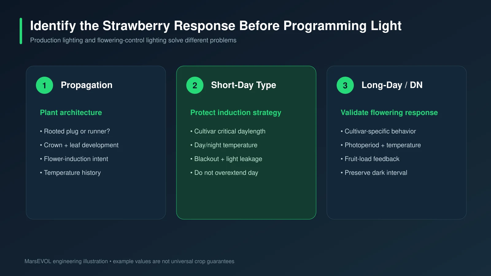 Strawberry lighting decision framework for propagation, short-day and long-day or day-neutral cultivars
