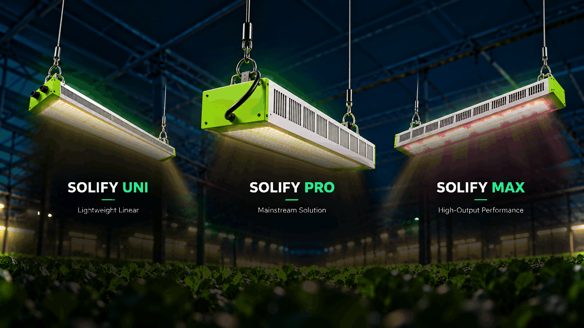 SOLIFY UNI, PRO and MAX greenhouse LED fixtures showing supplemental light increasing from low to high output.