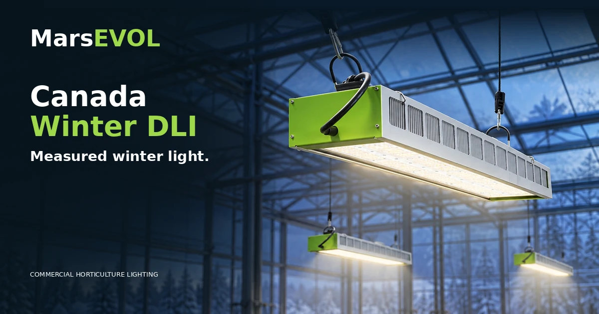 SOLIFY PRO fixtures suspended above leafy greens in a Canadian greenhouse during winter, emitting warm-white light downward.