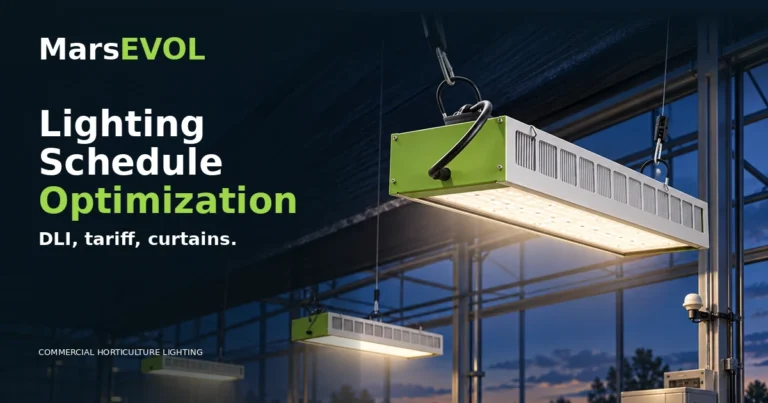 SOLIFY PRO fixtures above crops in a greenhouse with a deployed curtain, daylight sensor and control cabinet at evening.